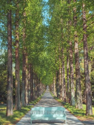 Unique Travel Destination with Exotic Forest Views: "Naju Forest Research Institute"