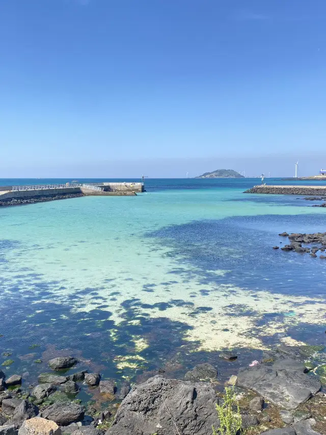 삼무공원 티켓 할인, 운영 시간, 후기 [2025년] | Trip.com