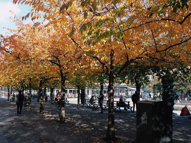 Kungsträdgården สวนสาธารณะใจกลางเมือง Stockholm