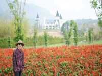 ที่เที่ยวอากาศเย็นดอกไม้สวยตลอดปี