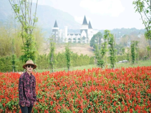 ที่เที่ยวอากาศเย็นดอกไม้สวยตลอดปี