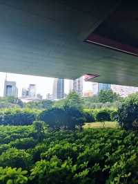 廣州獵德：讓我無時無刻都想衝回去的地方！