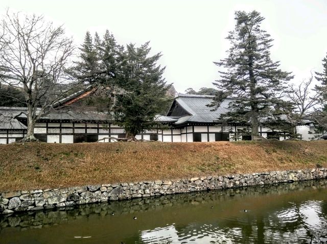 #彥根城-日本滋賀縣彥根市
