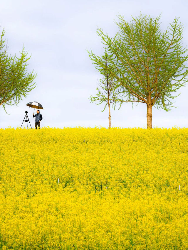 Boryeonara academy farm