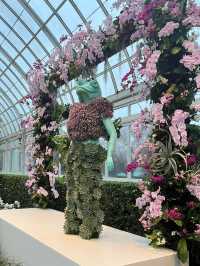 The Bronx in Bloom: The Orchid Show at NYBG