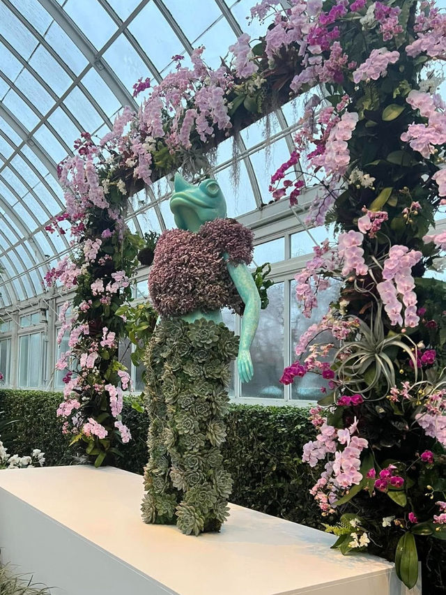The Bronx in Bloom: The Orchid Show at NYBG