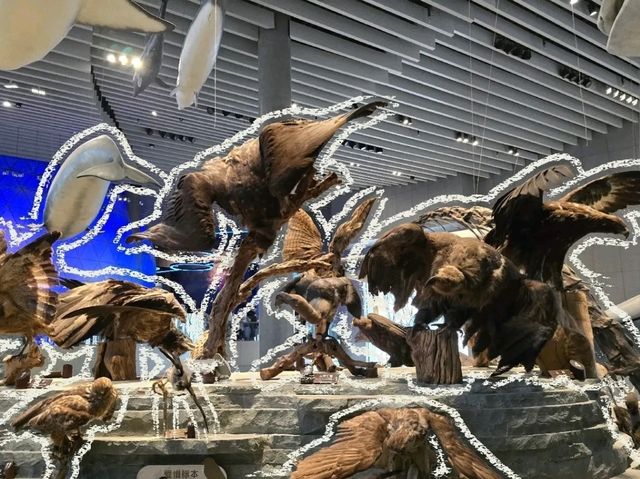 Shanghai Natural History Museum