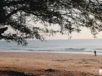 หาดทุ่งวัวแล่น