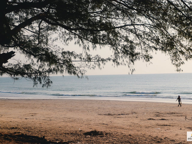 หาดทุ่งวัวแล่น