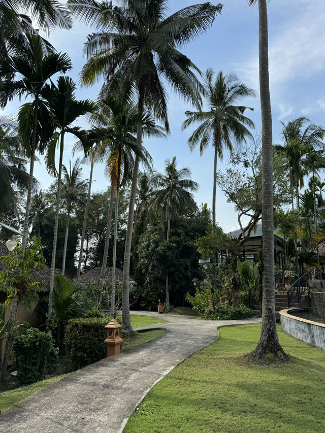 크라비 최고의 수영장🌴😍