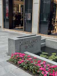 From Zen to Zoom: Epic Days in Shanghai