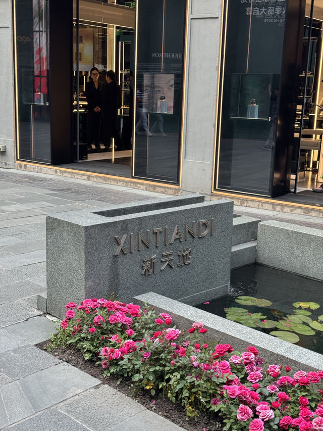 From Zen to Zoom: Epic Days in Shanghai