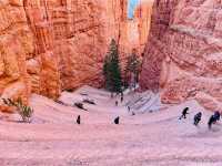 Bryce Canyon National Park – A Natural Amphitheater of Wonder