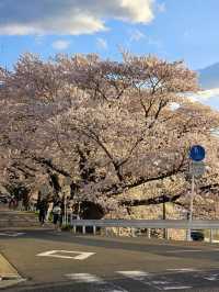 From Kawaguchi to Atami via Shizuoka