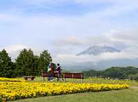 【鳥取県】 四季折々の花々が見渡せる西日本最大級のフラワーパーク『とっとり花回廊』