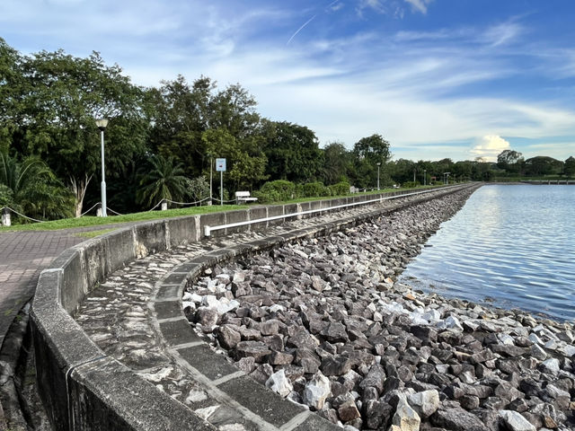 Lower Peirce Reservoir – Brisk Walks & Monkey Business
