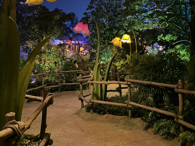 【🇯🇵】一度は行きたいファンタジースプリングス🧚✨