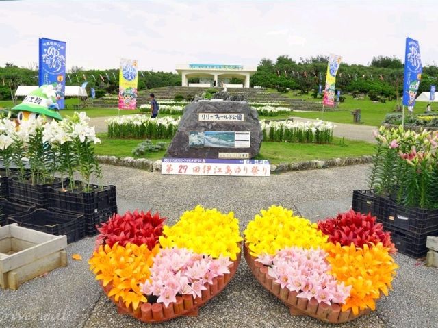【沖縄県】海と100万輪のテッポウユリが絶景！「伊江島ゆり祭り」