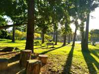 De Waal Park: Where Cape Town Comes to Play