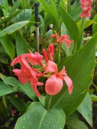 Discover 1 Utama’s Secret Garden in the Sky