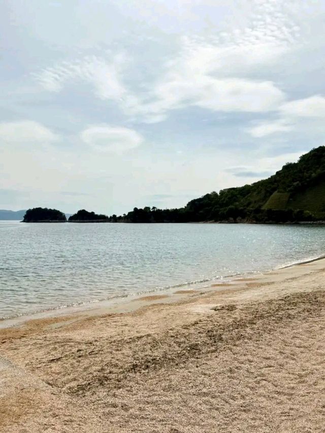 Benesse Art Site Naoshima: Where Art Meets Island Serenity