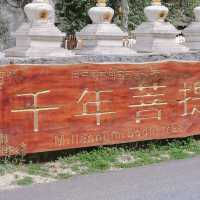 One Day Trip เที่ยวอุทยานปาลาเก๋อจง