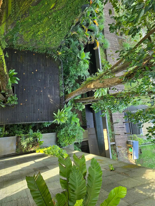 Siloso Beach Resort