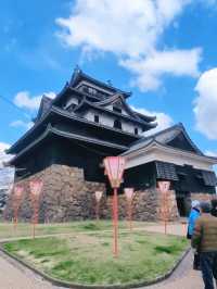 Samurai Petals at Matsue Castle