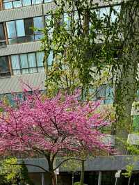 Allan Gardens Conservatory – Toronto’s Historic Green Oasis