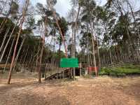 Panbil Nature Reserve: A Thrilling Jungle Workout with Stunning Rewards