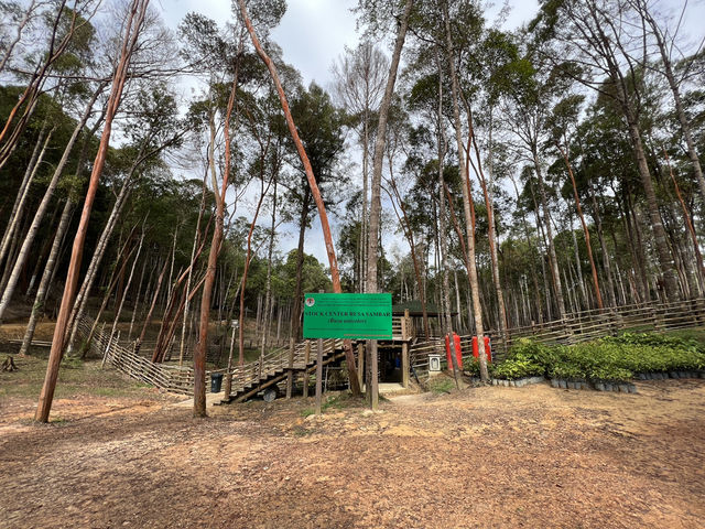 Panbil Nature Reserve: A Thrilling Jungle Workout with Stunning Rewards