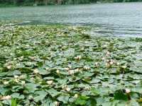 Yueshan Lake Park – Guiyang’s Urban Oasis of Mountains & Water!