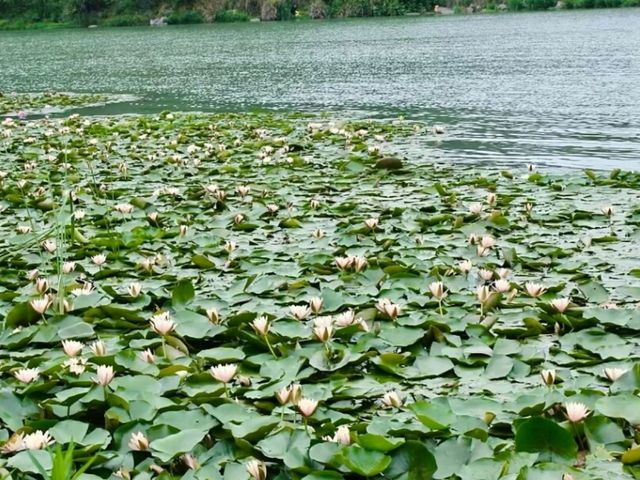 Yueshan Lake Park – Guiyang’s Urban Oasis of Mountains & Water!
