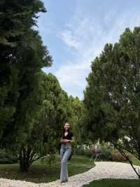 TEDS Coffee & Eatery คาเฟ่ Pet-Friendly 