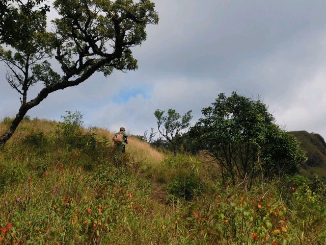 เขาสันหนอกวัว เดินป่าอุทยานแห่งชาติทองผาภูมิ