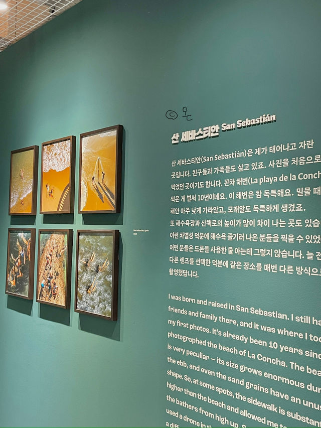 벌써 기대되는 요시고사진전 2 📷📸