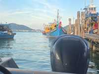 Summer Holiday Pangkor Island
