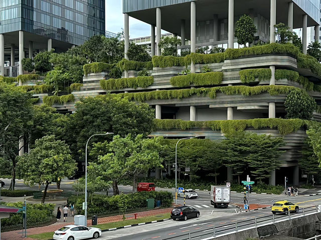 สิงคโปร์🇸🇬