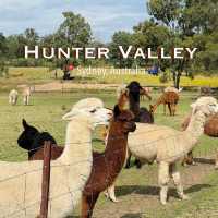 Hunter Valley 2-Day Trip from Sydney 🍷🐑