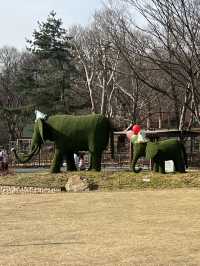 『ソウル動物園🐅』IN Korean🇰🇷