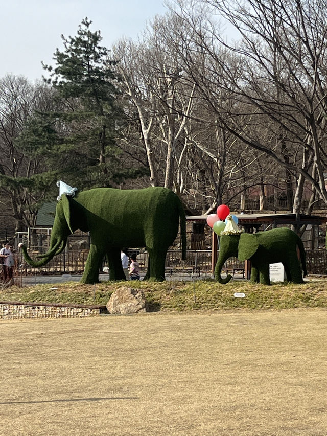 『ソウル動物園🐅』IN Korean🇰🇷