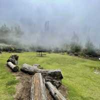 Polipoli Spring State Recreation Area – Maui