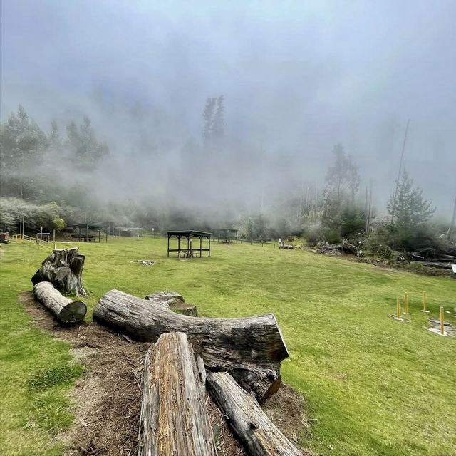 Polipoli Spring State Recreation Area – Maui