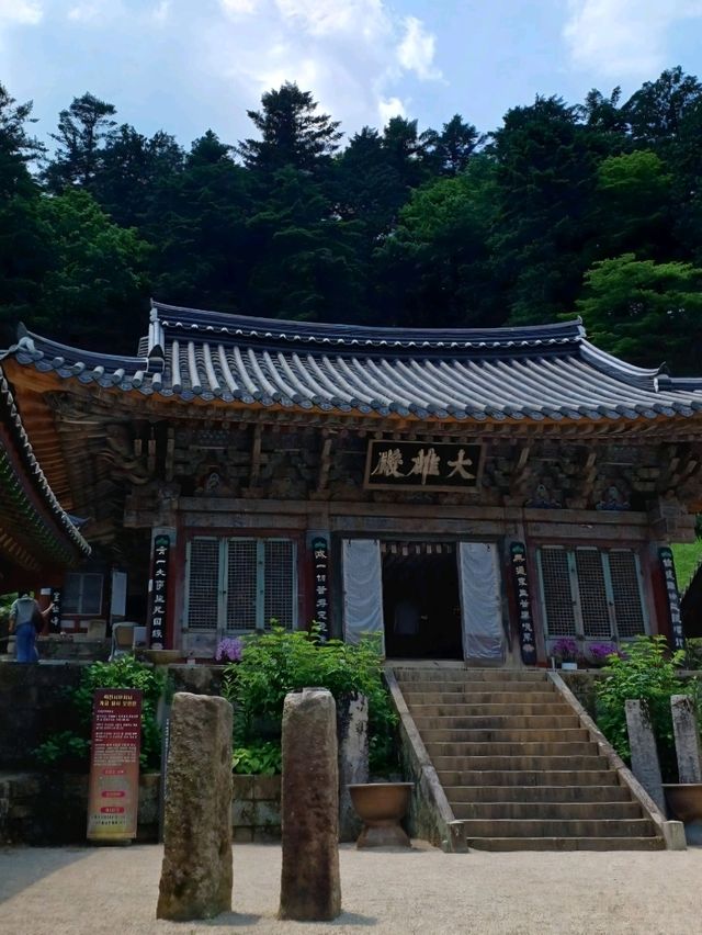 고요한 산사에서의 특별한 데이트 🌸