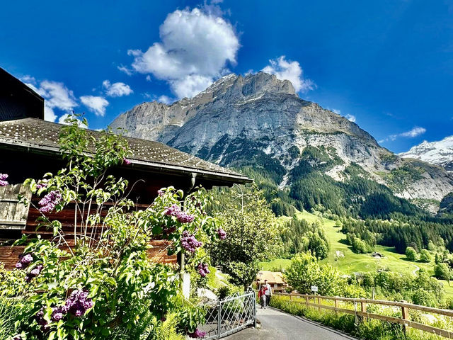 格林德瓦Grindelwald巡禮