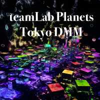 First Live Visit to My Favorite Light Art Museum — teamLab!