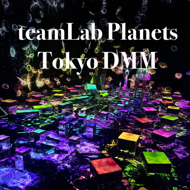 First Live Visit to My Favorite Light Art Museum — teamLab!