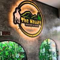 💥 The Nature Cafe