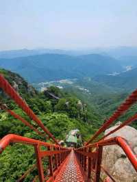 Suspension Bridges & Leg Day at Daedunsan