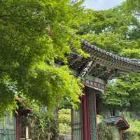 🇰🇷 Hidden Gem in Seoul | Secret Garden of Changdeokgung Palace